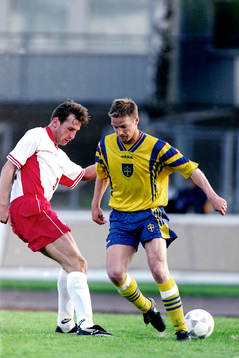 Dan Sahlin, Sverige