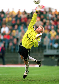 Magnus Hedman, AIK