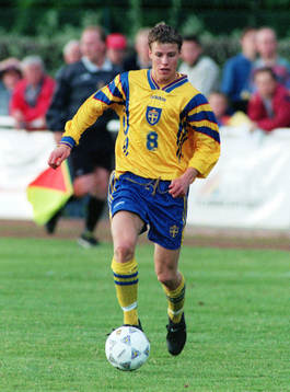 Pontus Farnerud, Sverige J