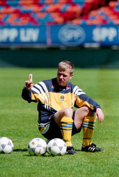 Pär Zetterberg, Sverige