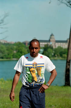 Martin Dahlin, Sverige