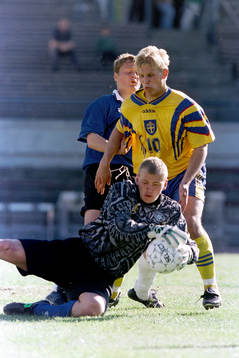 Martin Åslund, Sverige