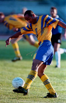 Martin Dahlin, Sverige