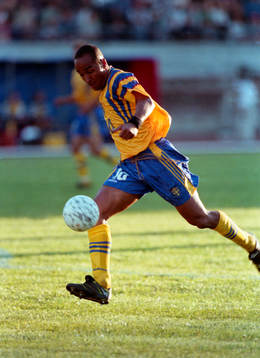 Martin Dahlin, Sverige