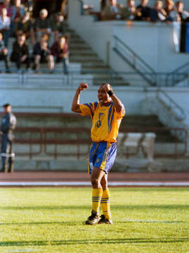 Martin Dahlin, Sverige
