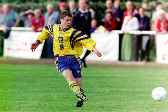 Pontus Farnerud, Sverige
