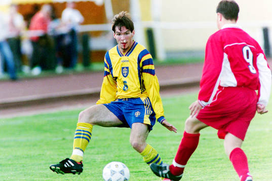 Pontus Farnerud, Sverige