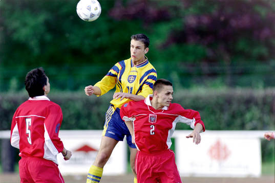 Rade Prica, Sverige och Pirog Radoslaw, Polen