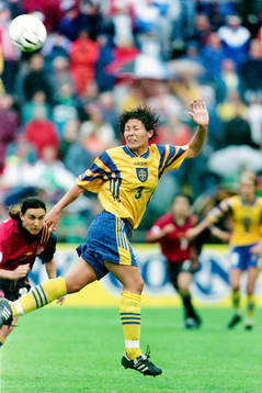 Jane Törnqvist, Sverige
