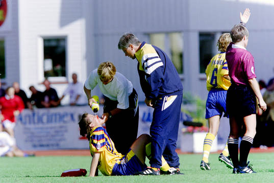 Kristin Jonsson, Sverige har fått en smäll i ansiktet