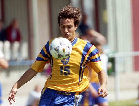 Tony Flygare, Sverige