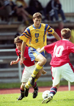 Johan Elmander, Sverige