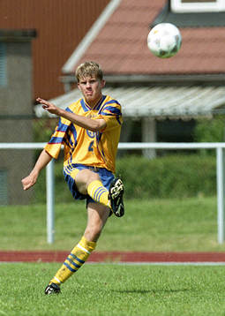 Mikael Antonsson, Sverige