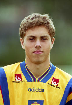 Johan Elmander, Sverige