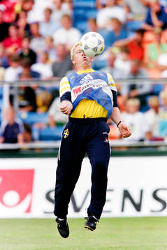 Jörgen Pettersson, Sverige