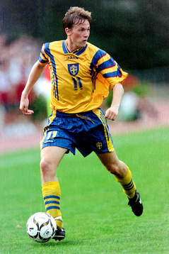 Stefan Bärlin, Sverige