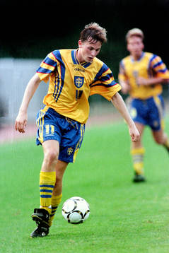 Stefan Bärlin, Sverige