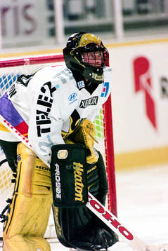 Magnus Eriksson, målvakt, Västerås