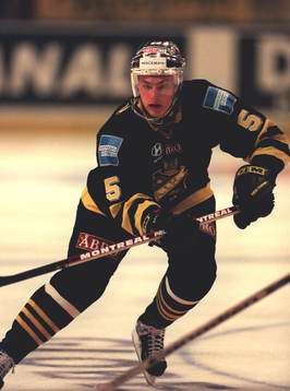Ishockey Libor Prochàzka (Libor Prochazka), AIK