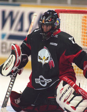 Ishockey Andrew Verner, Malmö IF (Malmö Redhawks, Malmö