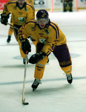 Ishockey Trond Magnussen, Färjestad