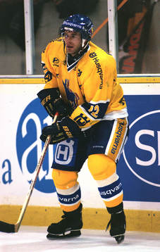 Ishockey Peter Ekelund, HV 71