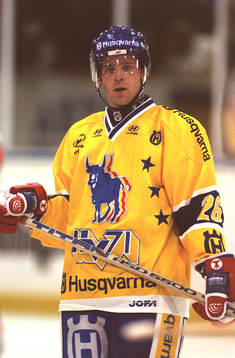 Ishockey Stefan Falk, HV 71