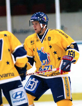 David Petrasek, HV 71
