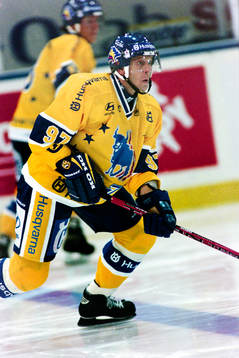 Anatoli Fedotov, HV71