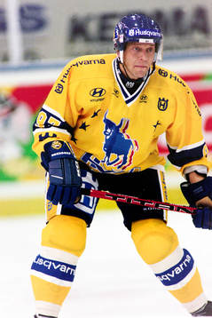 Anatoli Fedotov, HV71