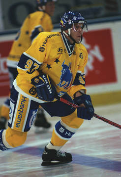 Ishockey Anatoli Fedotov, HV 71