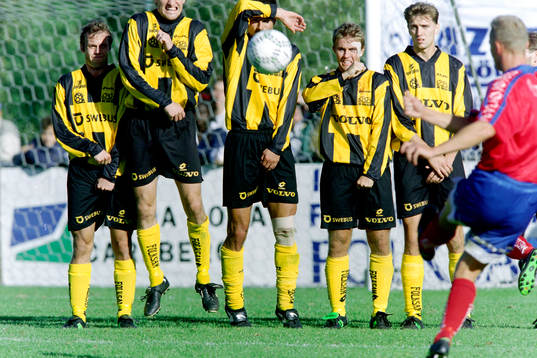 Häckens frisparksmur