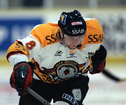 Ishockey Jan Mertzig, Luleå