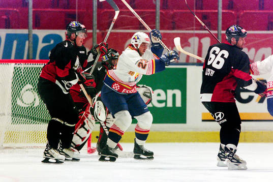 Mikael Magnusson, Djurgården