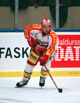 Ishockey David Vyborny, Modo