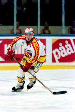 David Vyborny, Modo