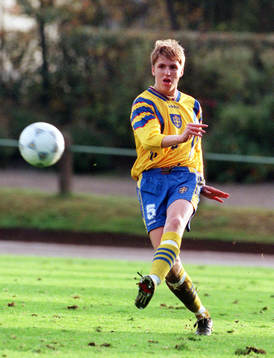 Nils-Eric Johansson, Sverige