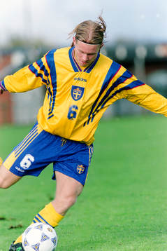 Fredrik Berglund, Sverige