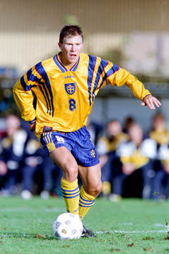 Christer Persson, Sverige