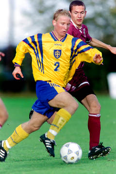 Mikael Skarin, Sverige