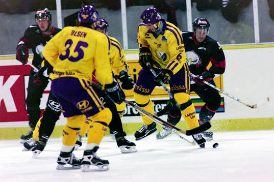Sergei Fokin, Färjestad