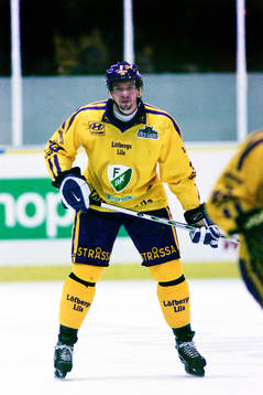 Roger Johansson, Färjestad