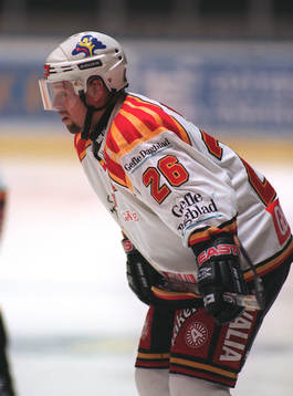 Ishockey Anders Huss, Brynäs