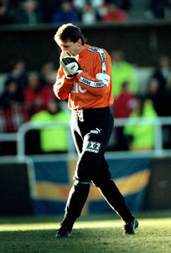 Sven Andersson, Helsingborg (Helsingborgs IF)