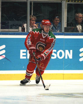 Ishockey Radek Hamr, Västra Frölunda