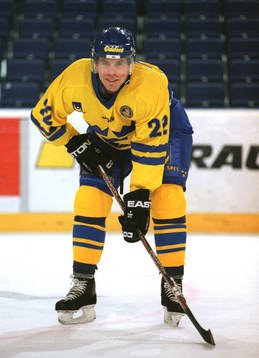 Ishockey Ulf Dahlén, Sverige