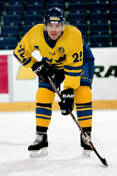Ulf Dahlén, Sverige