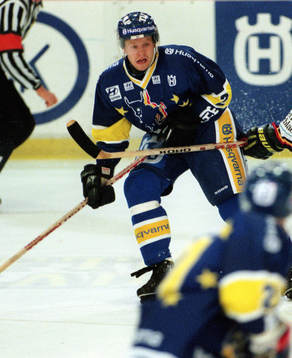 David Petrasek, HV71