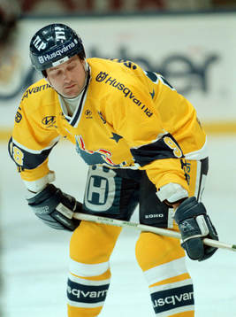 Alexei Salomatin, HV71