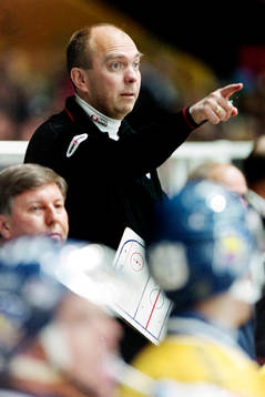 Sune Bergman, tränare i HV71